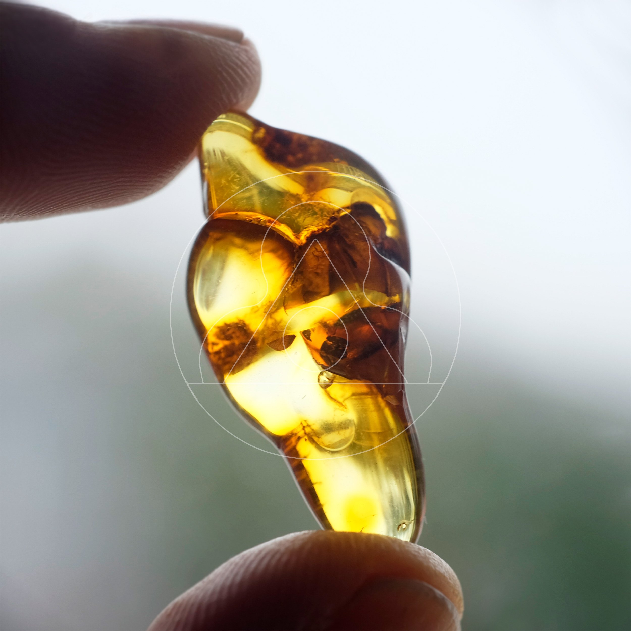 amber_DSF3029-wm.jpg