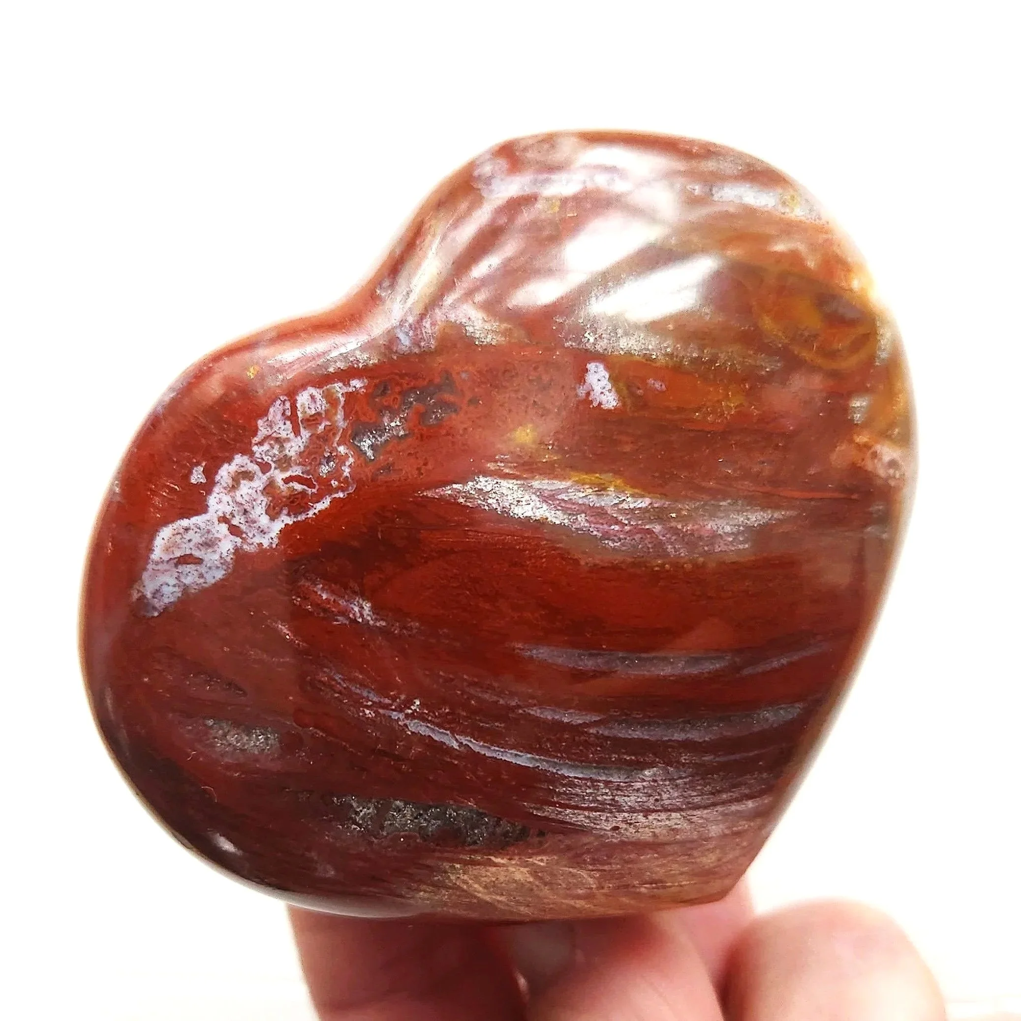 Petrified Wood Hearts