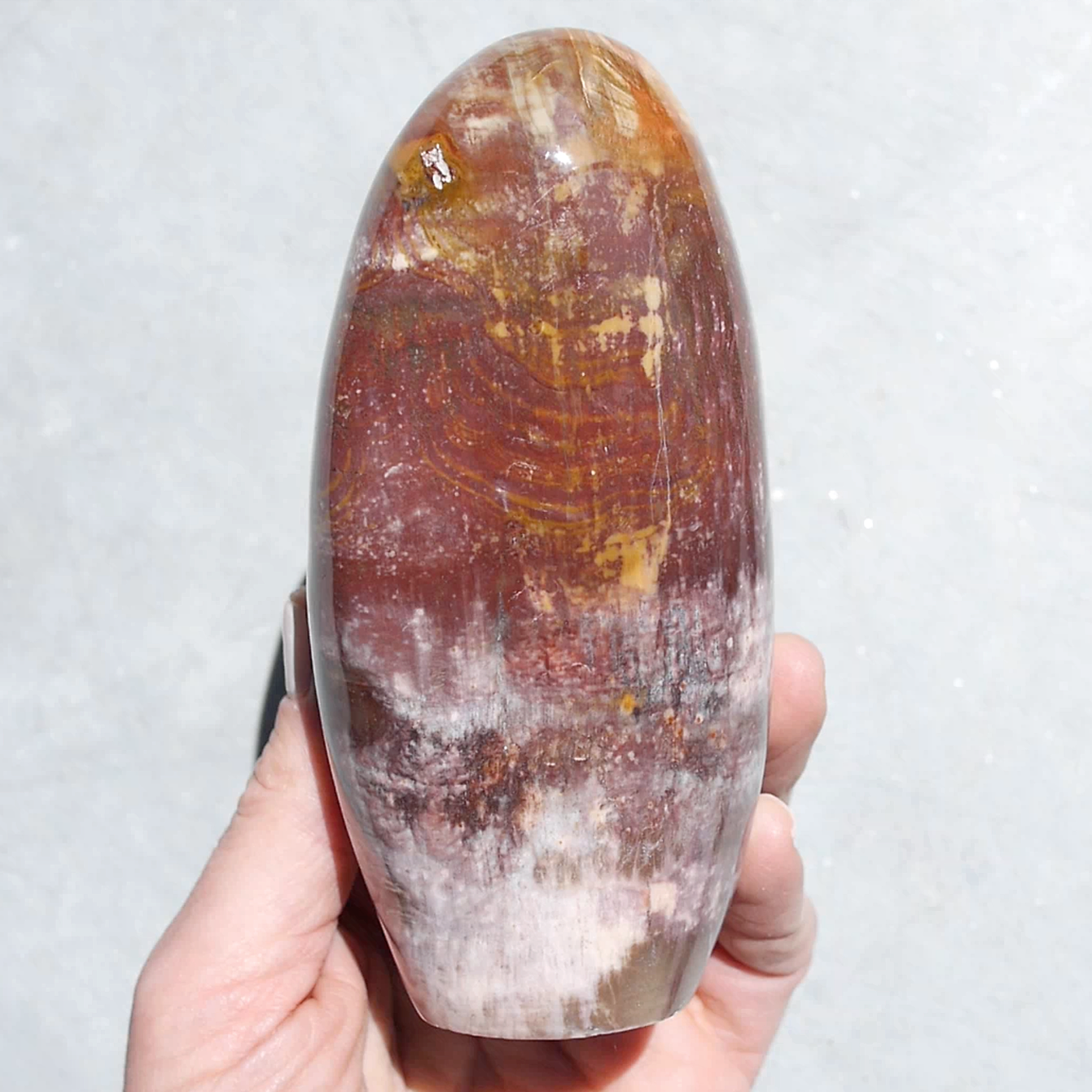 Petrified Wood Freeforms