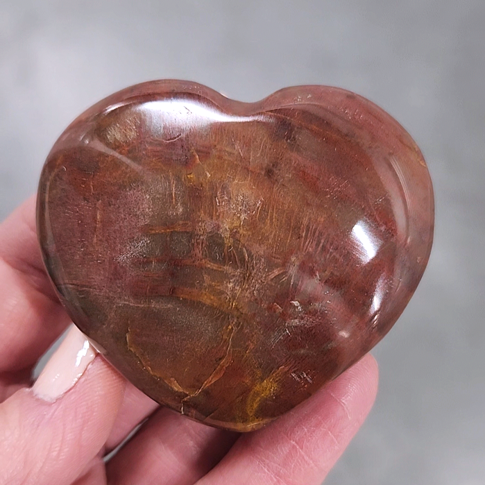 Petrified Wood Hearts