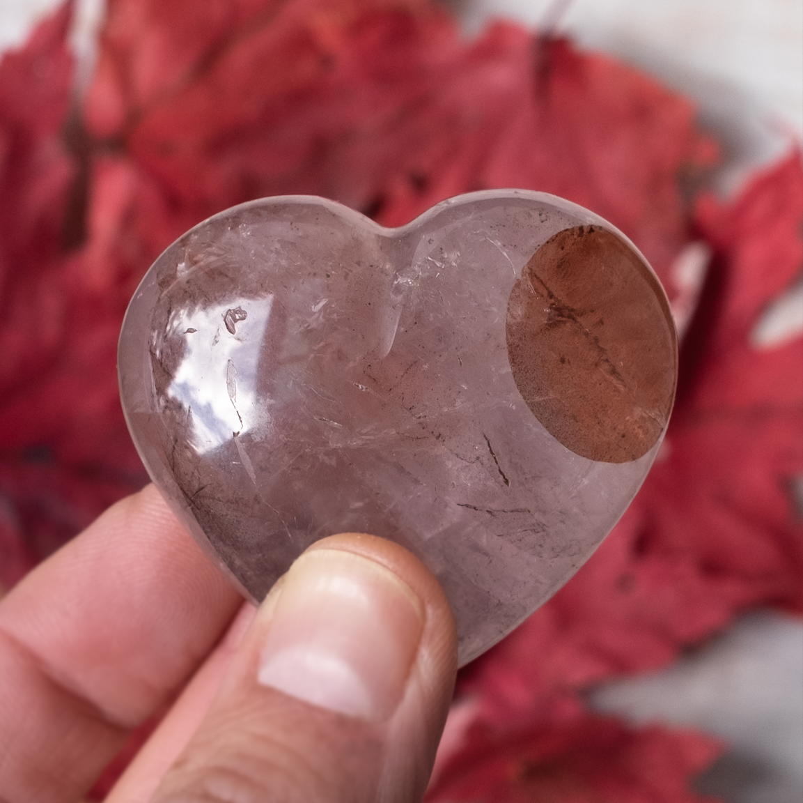 Screenshot 2025-11-21 at 2.46.23 AM.png