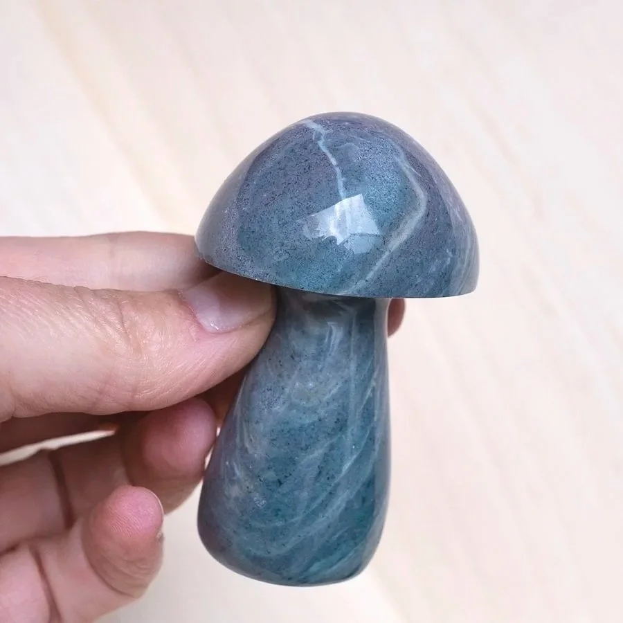 Sea Jasper Mushrooms