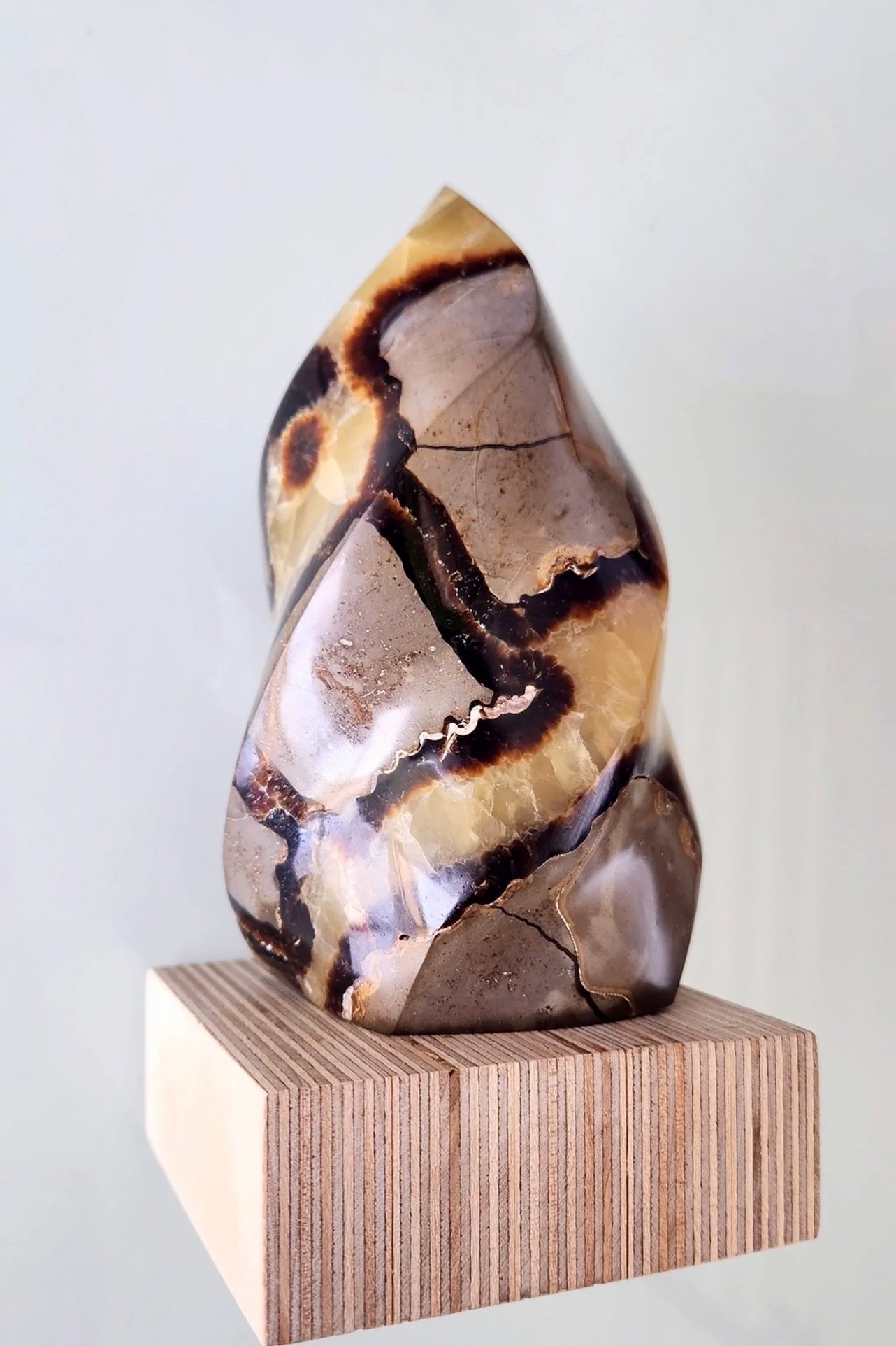 Septarian_flame1_20230518_114713.jpg
