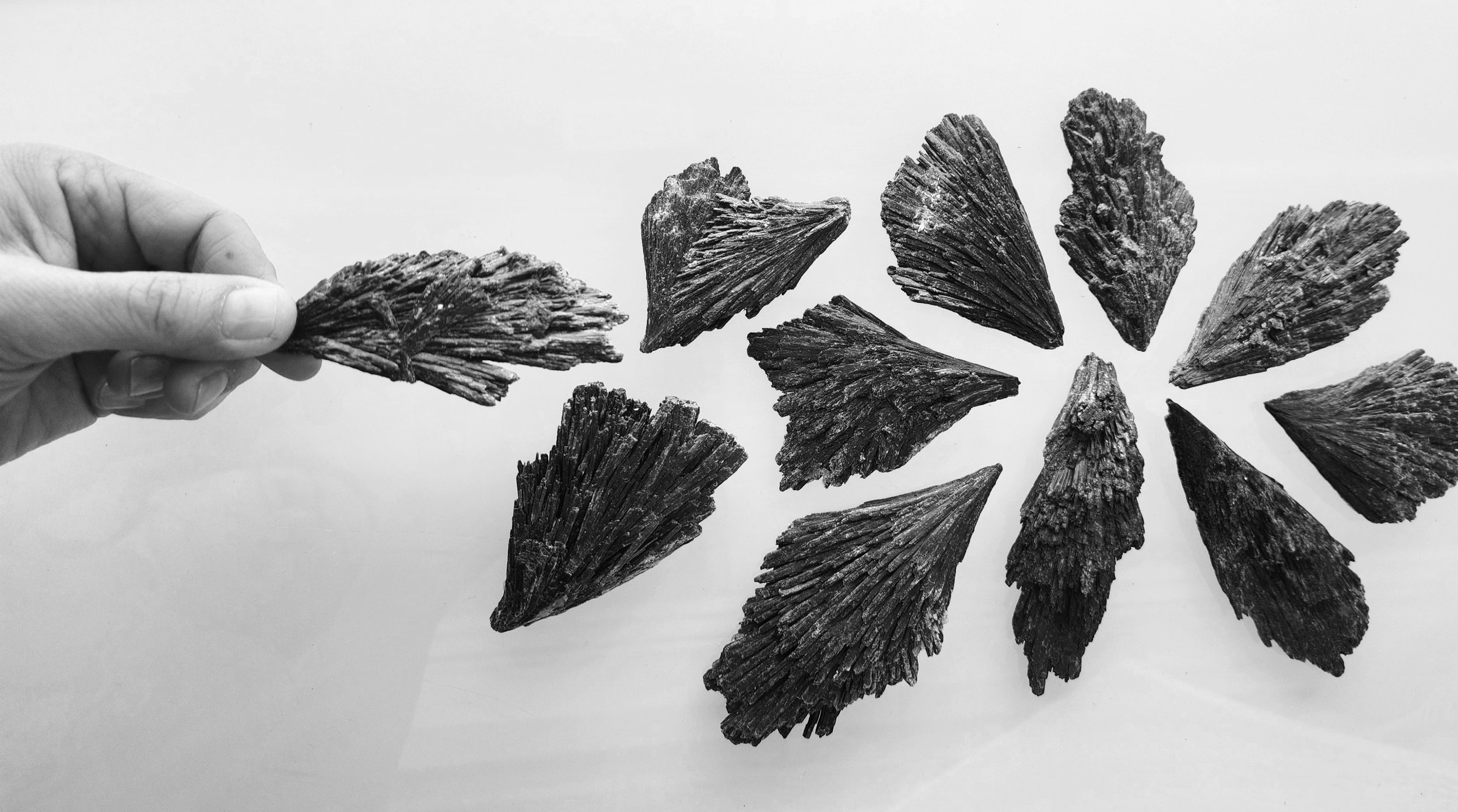 20230409_134853.jpg