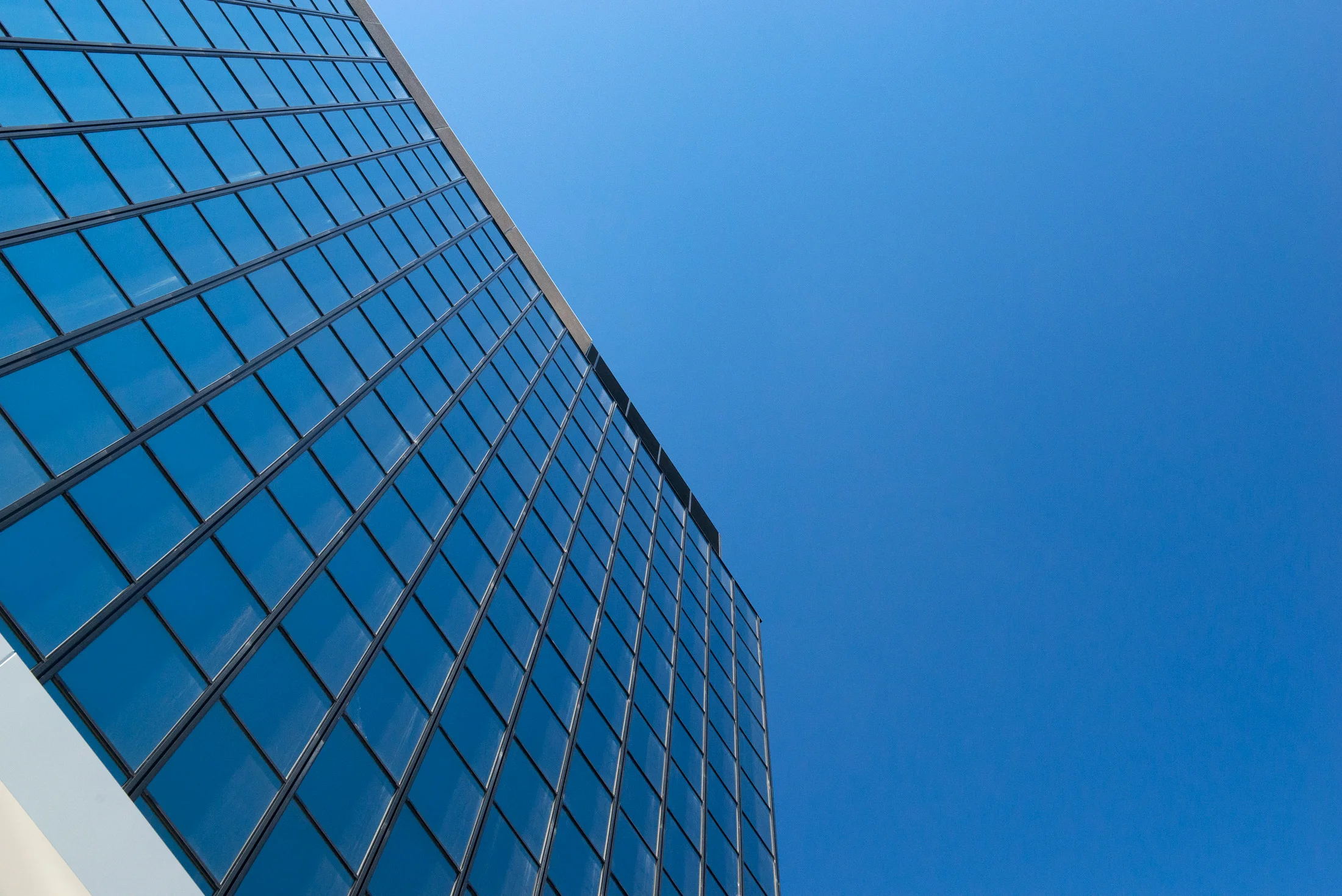 Finished Images (65).JPG