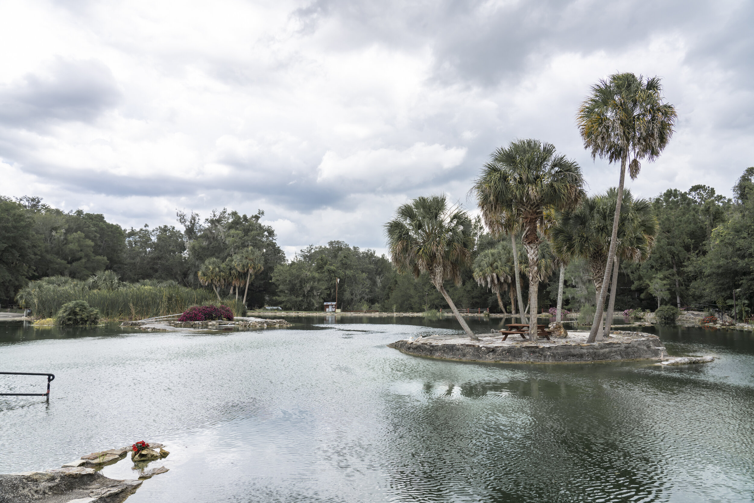 Devil's Den Prehistoric Spring – Williston, Florida