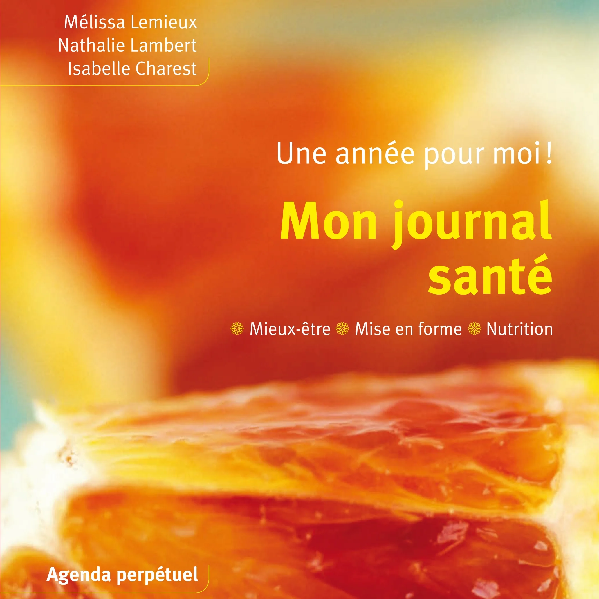 Mon journal santé (PDF)