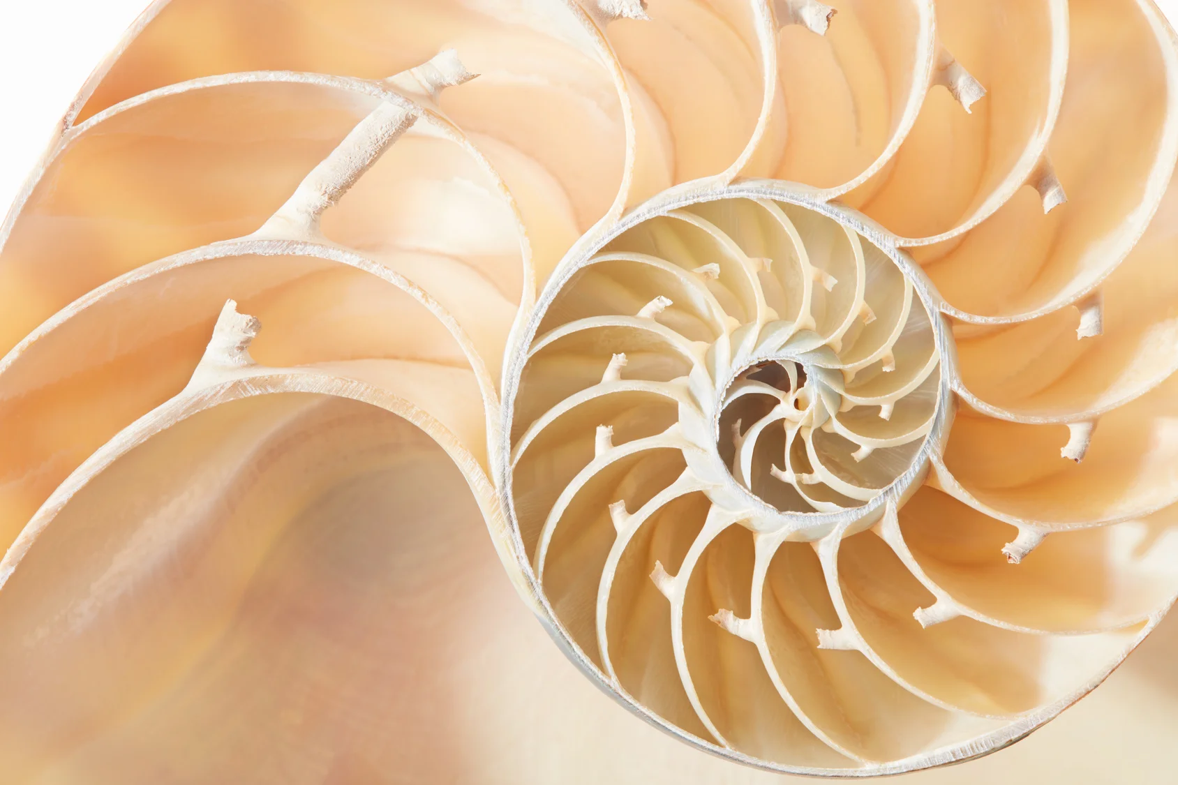 Fotolia_107360822_Subscription_Monthly_M.jpg