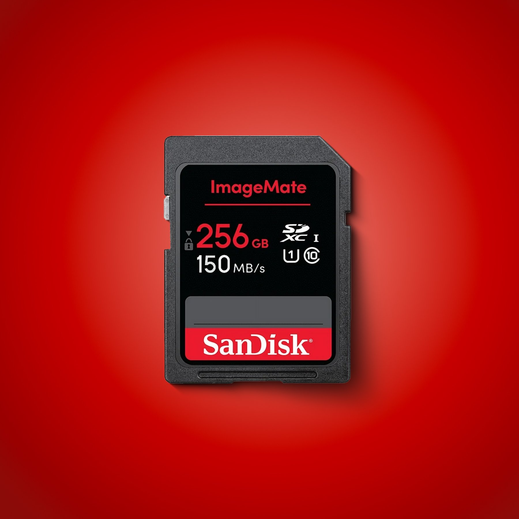 RedBG-SanDisk 256GB ImageMate SDXC UHS-1 Memory Card.jpg