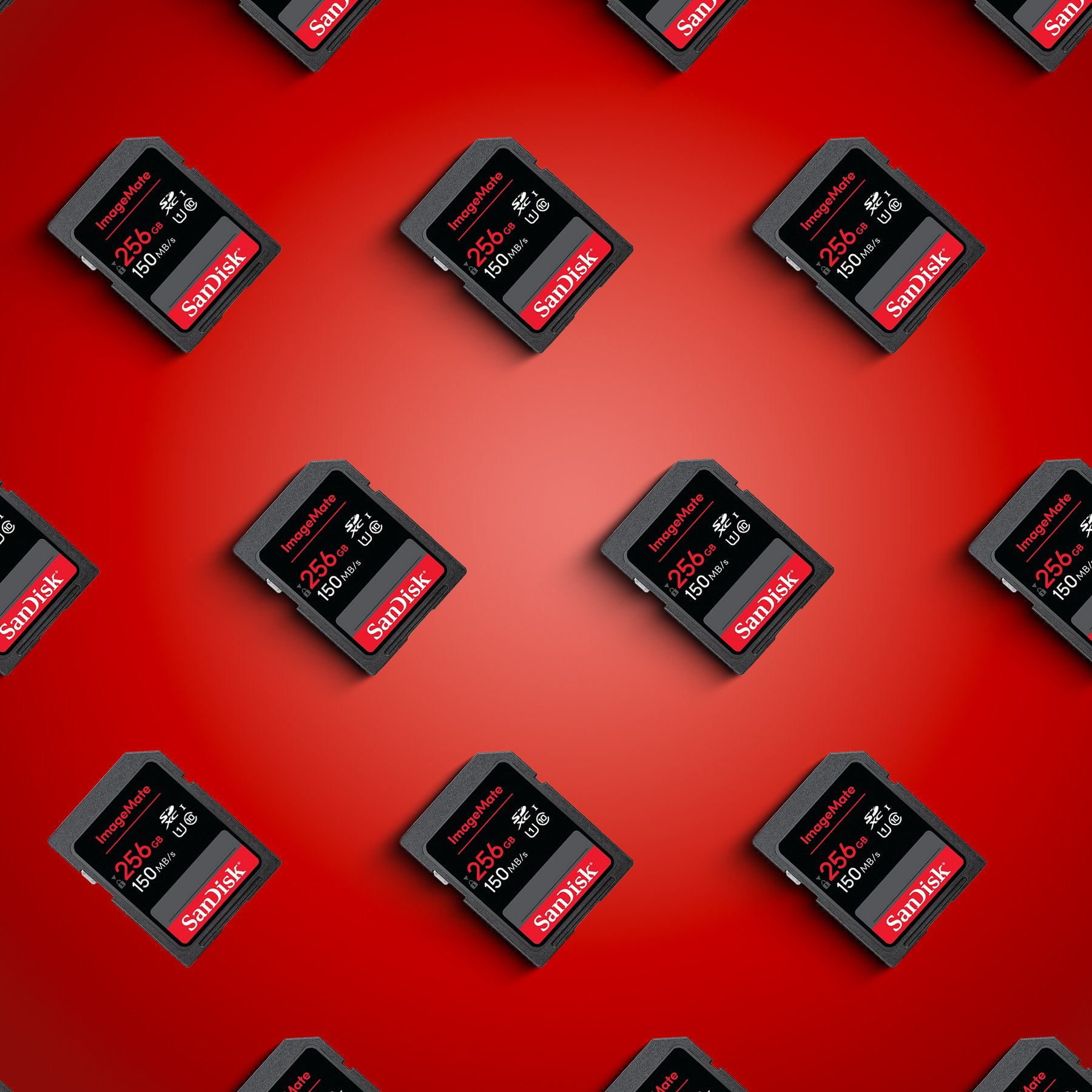 Patterned-SanDisk 256GB ImageMate SDXC UHS-1 Memory Card.jpg