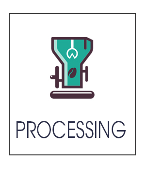 Gallery-Processing4.png