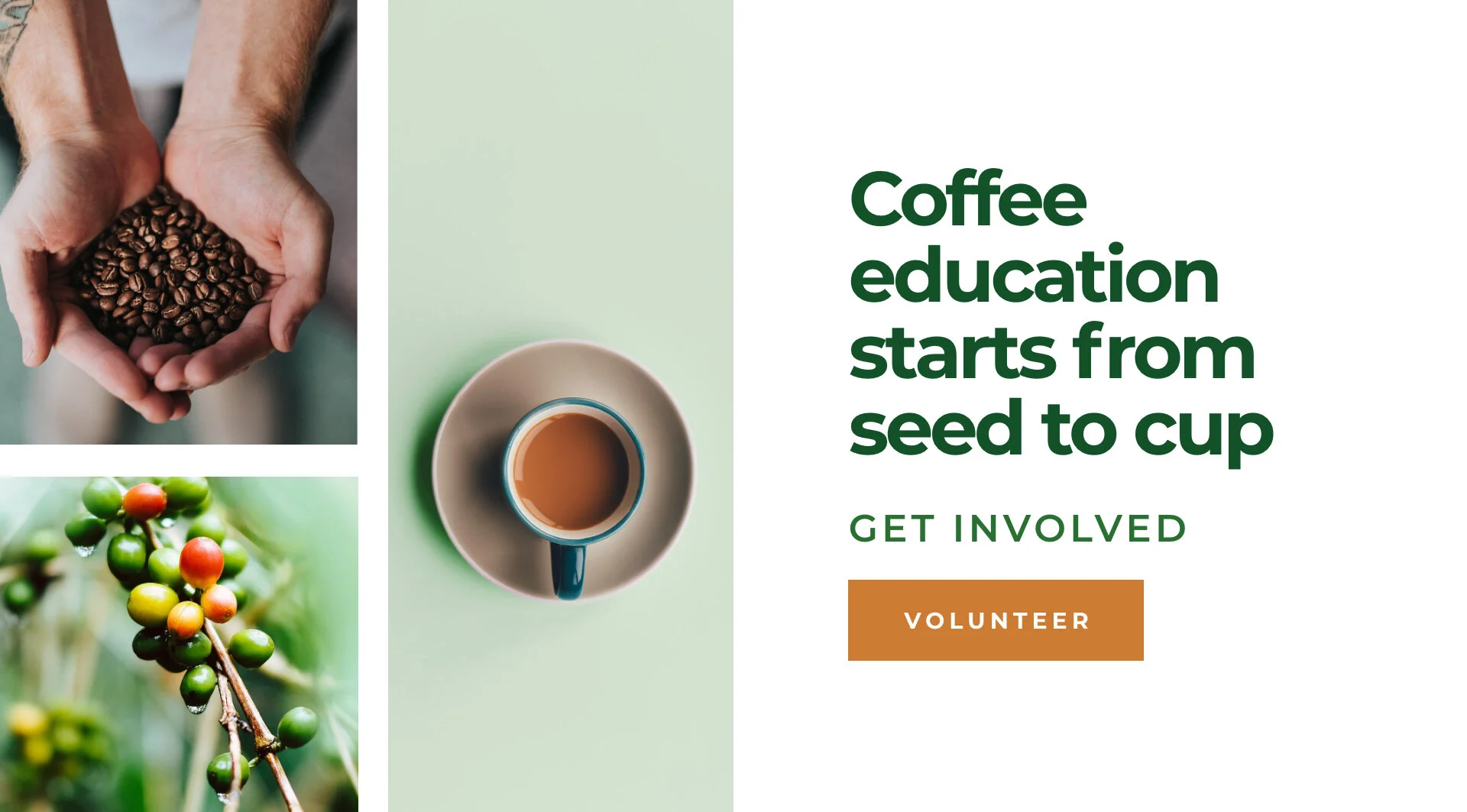 Sustainable Coffee Institute