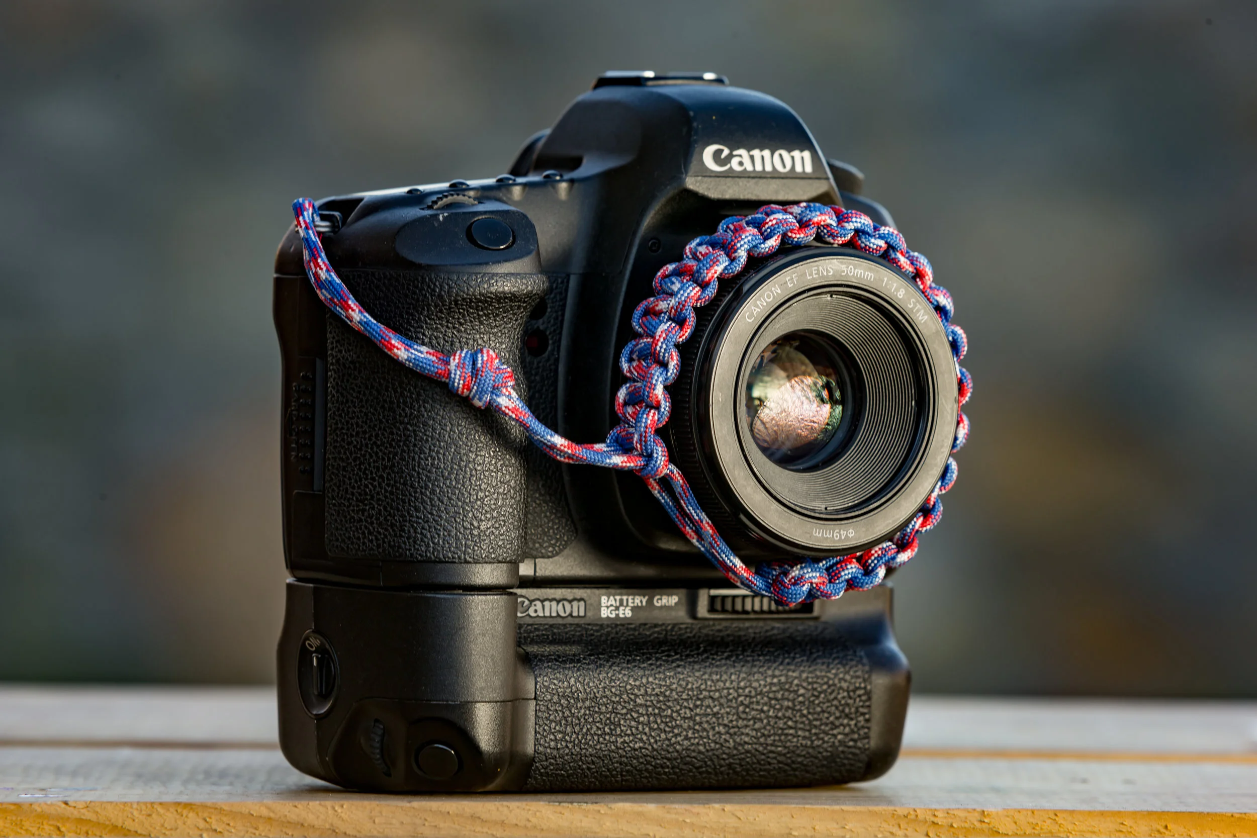 BS1color-5.jpg