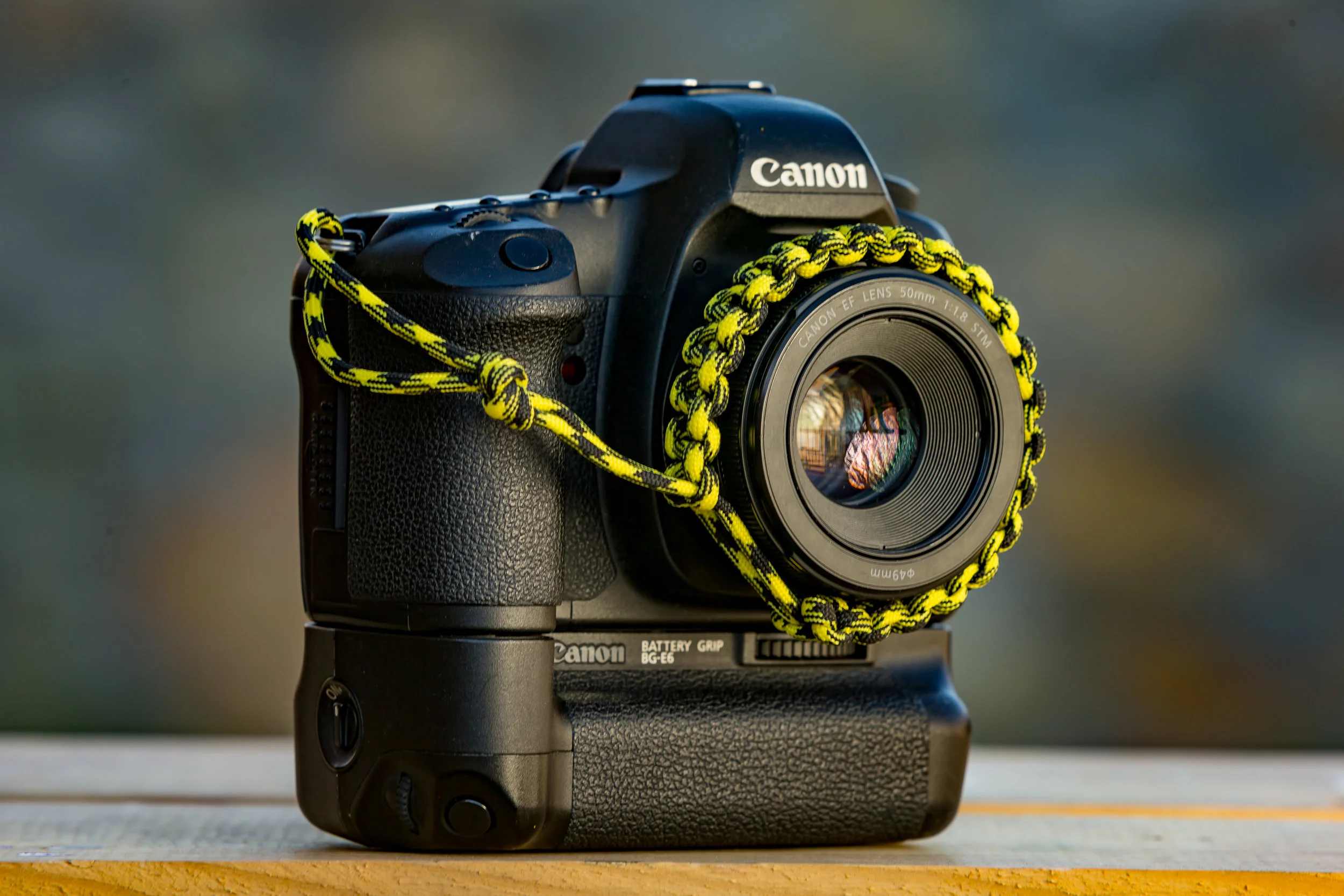 BS1color-7.jpg