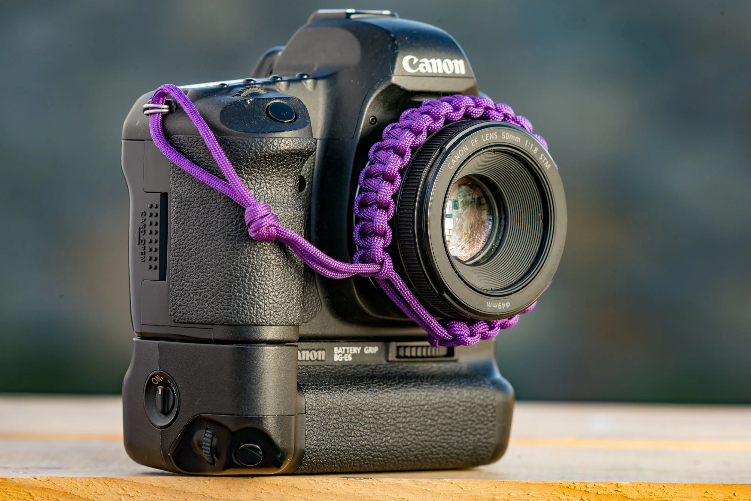 BS1color-19.jpg