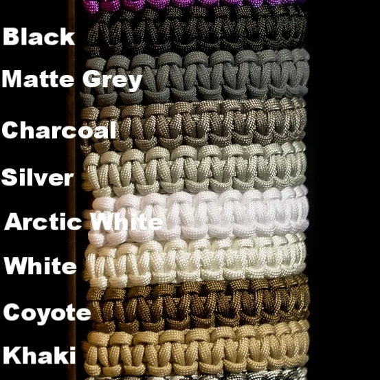BS1color-2.jpg