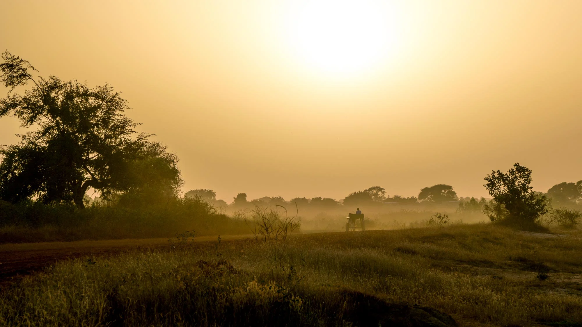 Senegal_04.jpg