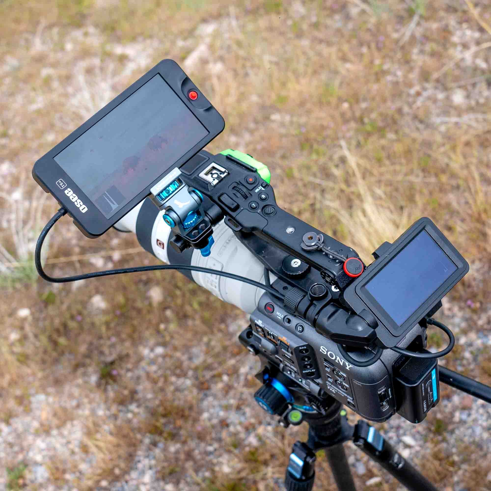 Gear Review | Osee T5+