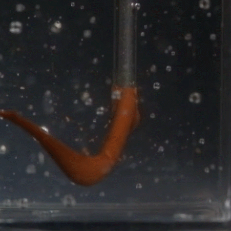 Freeform Fabrication of Fluidic Edible Materials