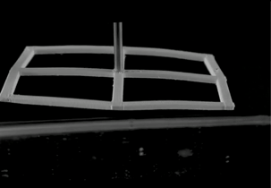 morphing grid real.gif