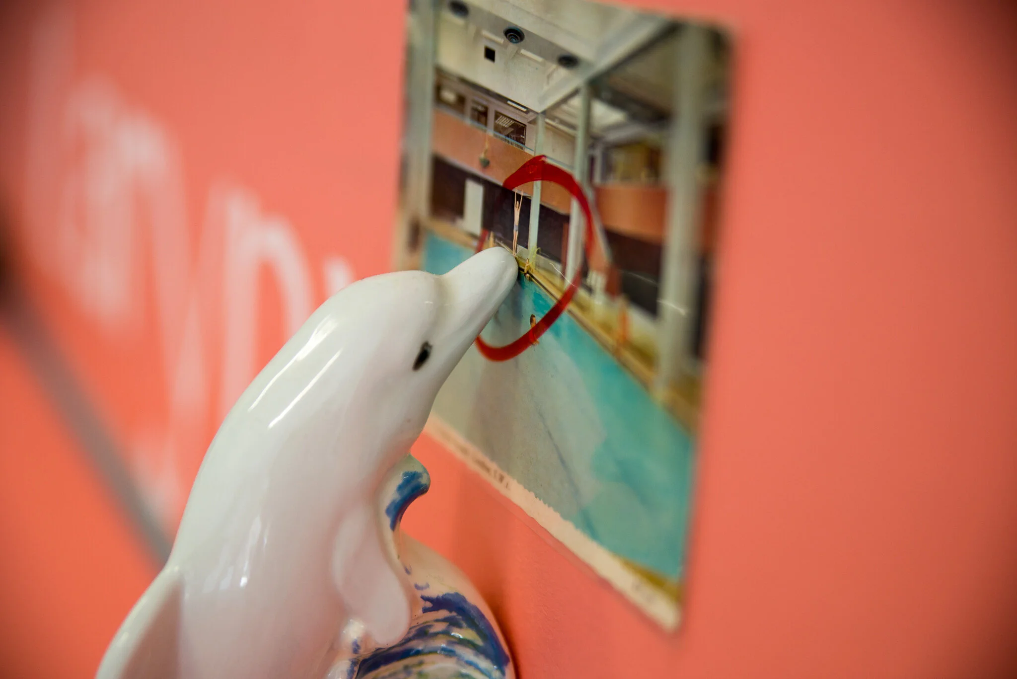 kieron broadhurst and jack wansbrough ecco 2.jpeg