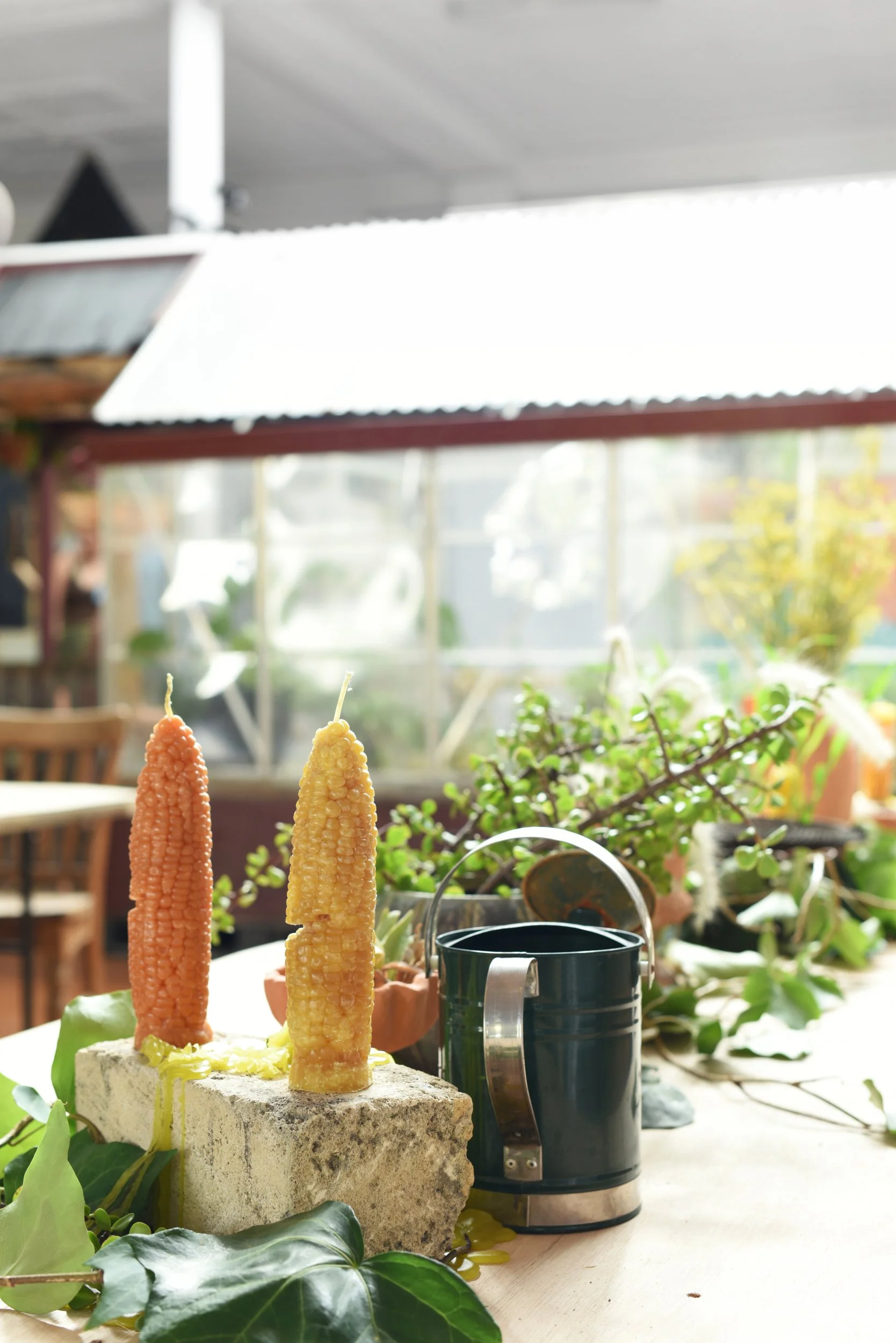 The Rock Pool_14_web.JPG