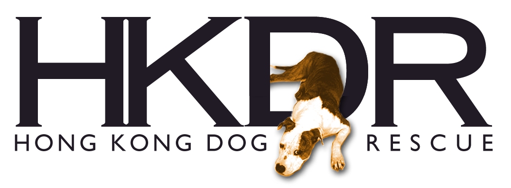 HKDR-logo.jpg