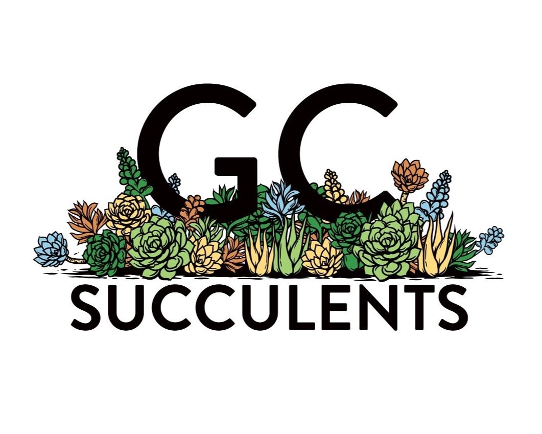 Gold Coast Succulents