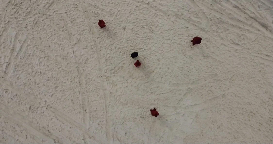  A group of performers and musicians find a messy, violent, meditative, and (im)possibly utopian sonic &amp; embodied common language to literally and figuratively put the collective body back together, while attending to their own. 