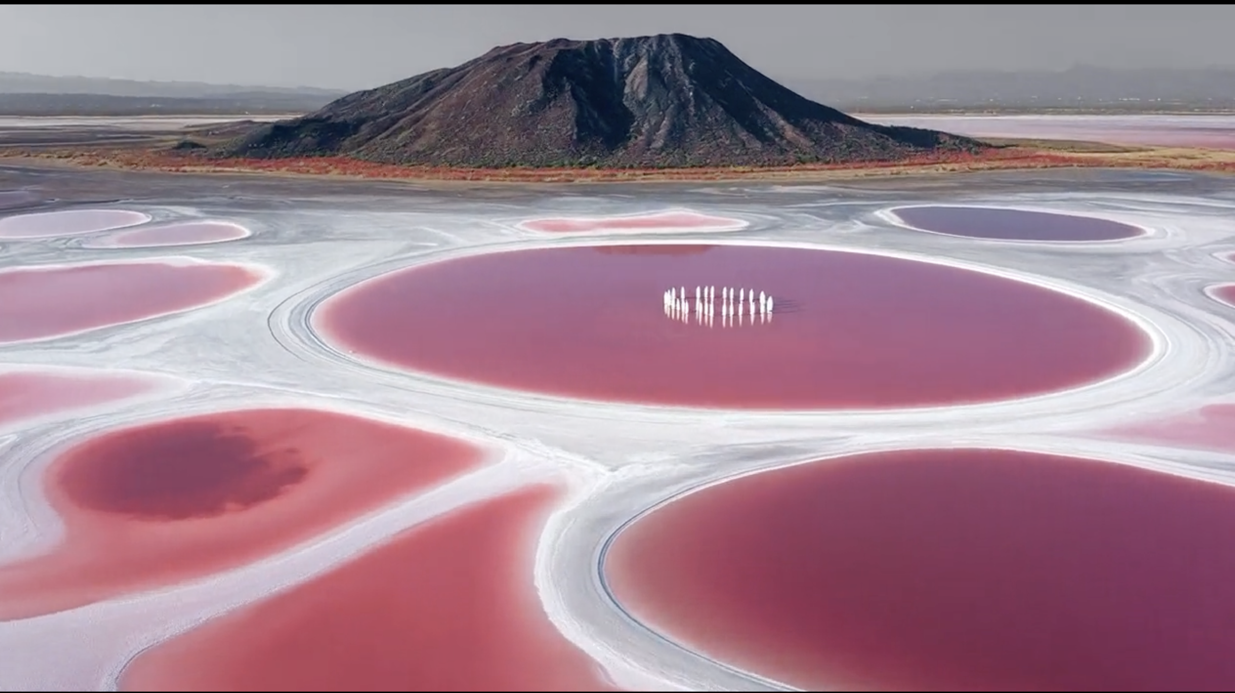 Screenshot 2026-04-01 at 3.24.08 PM.png