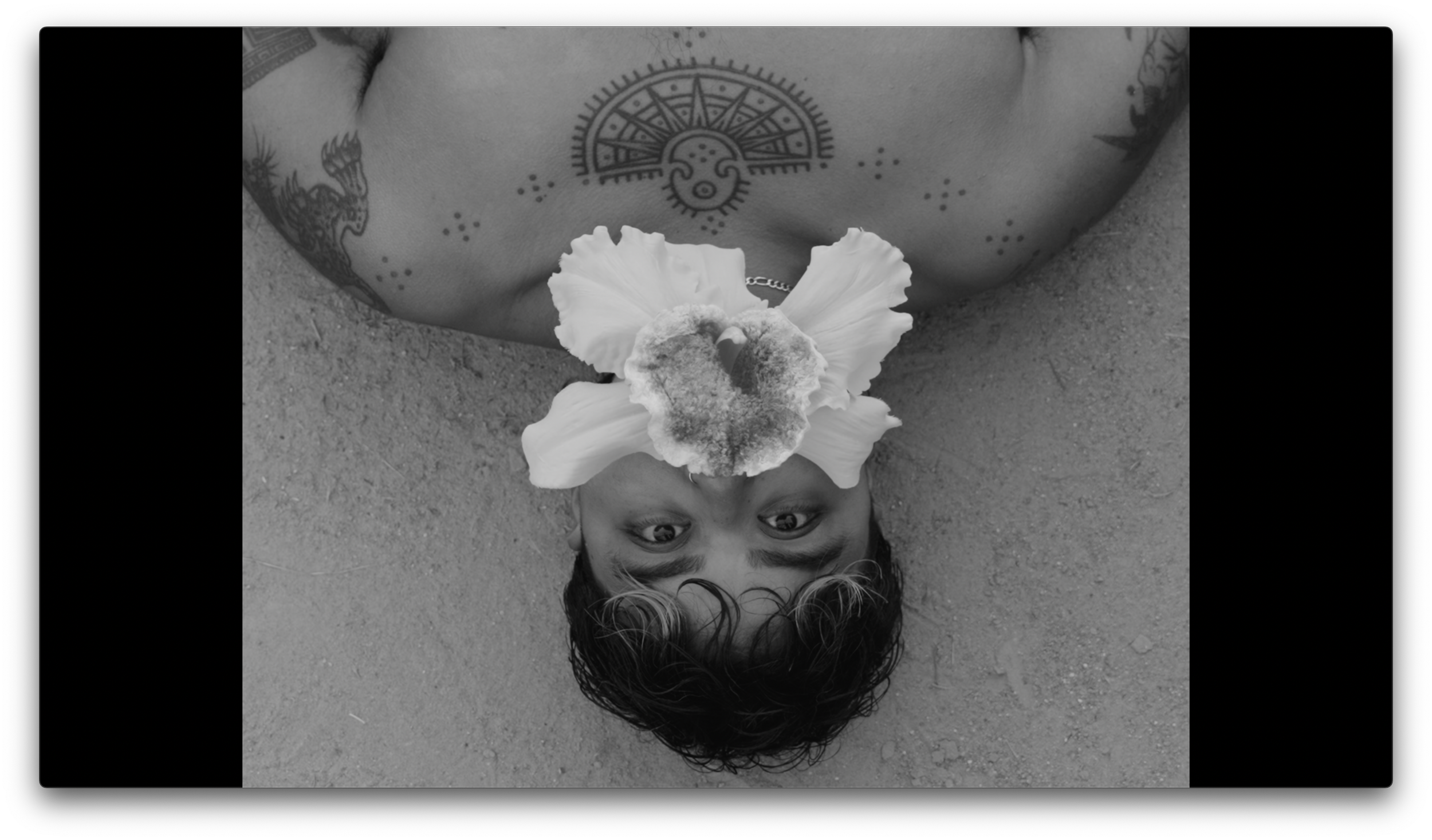 Screenshot 2026-04-03 at 3.05.25 PM.png