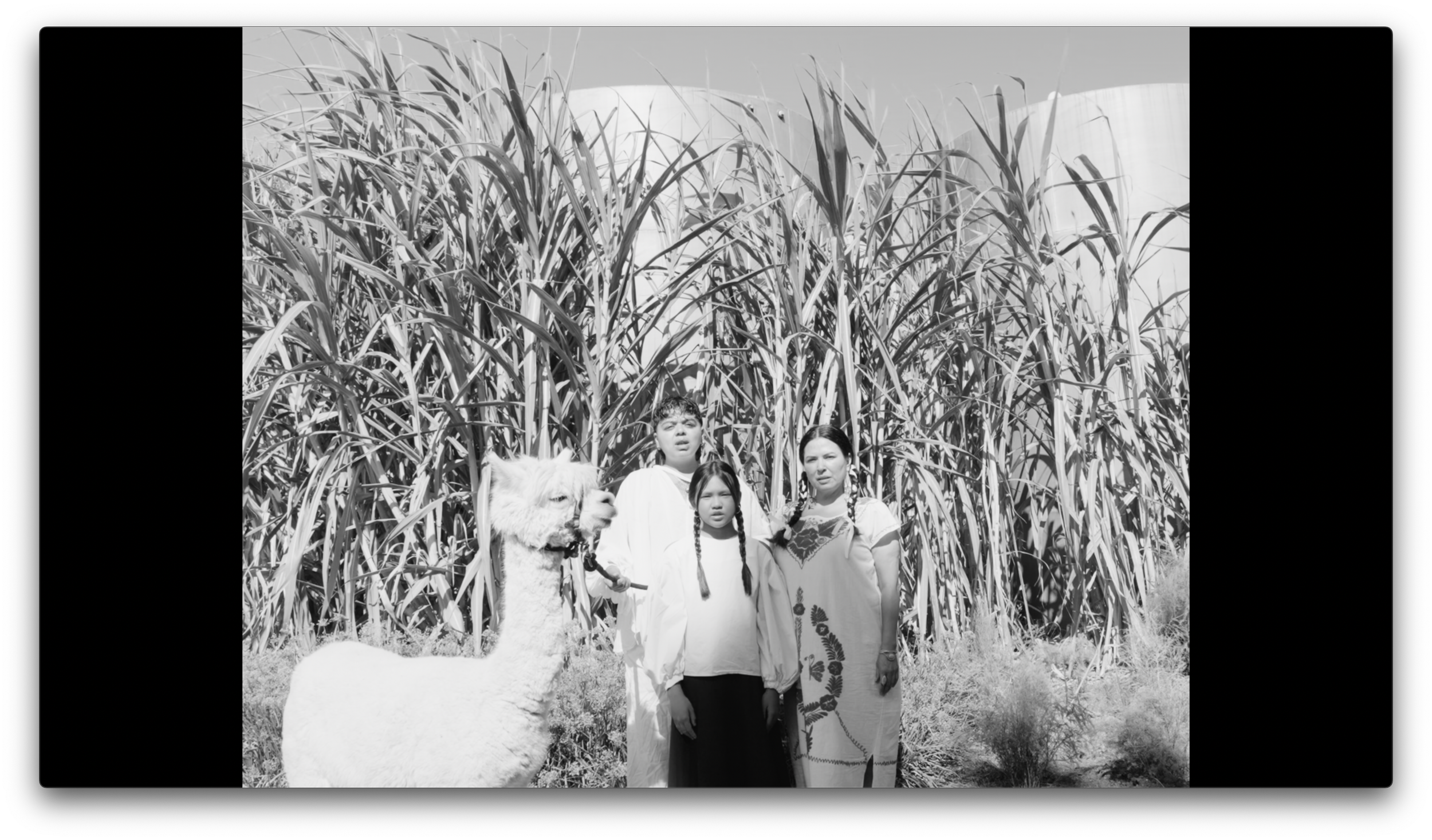 Screenshot 2026-04-03 at 3.04.48 PM.png