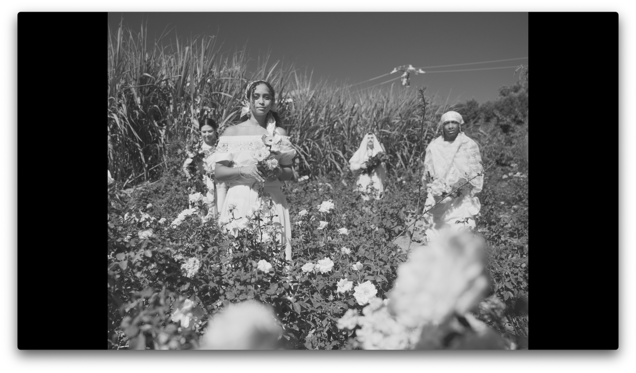 Screenshot 2026-04-03 at 3.04.10 PM.png