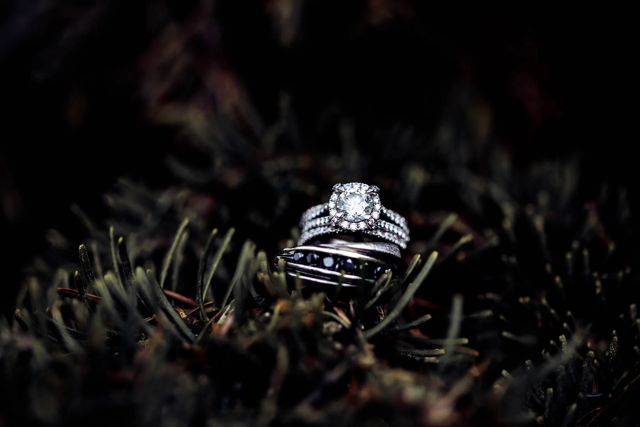 246A2270-Edit.jpg