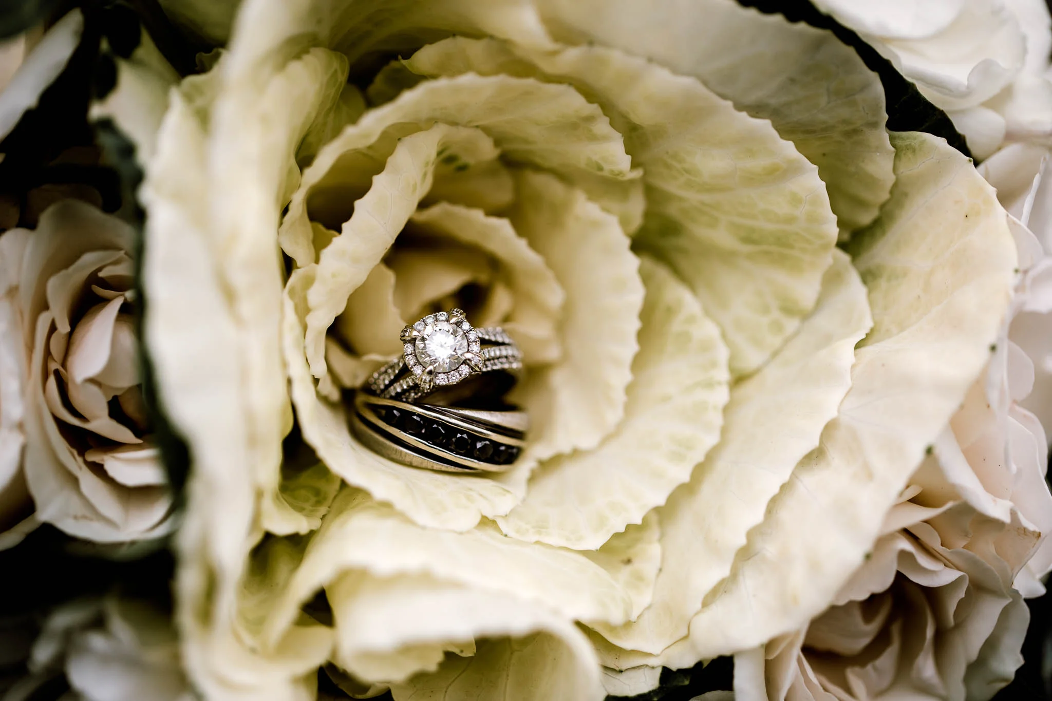 246A2264-Edit.jpg