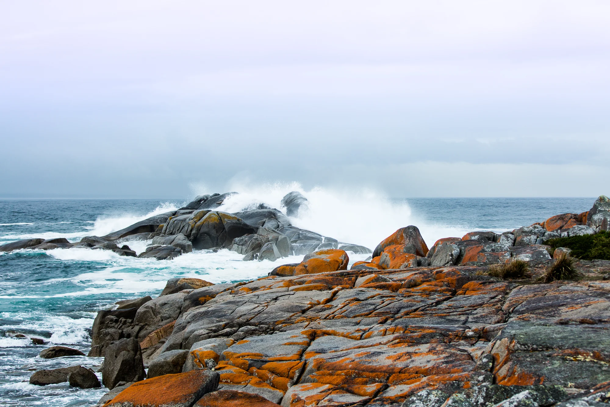 Skeleton Point (1 of 1).jpg