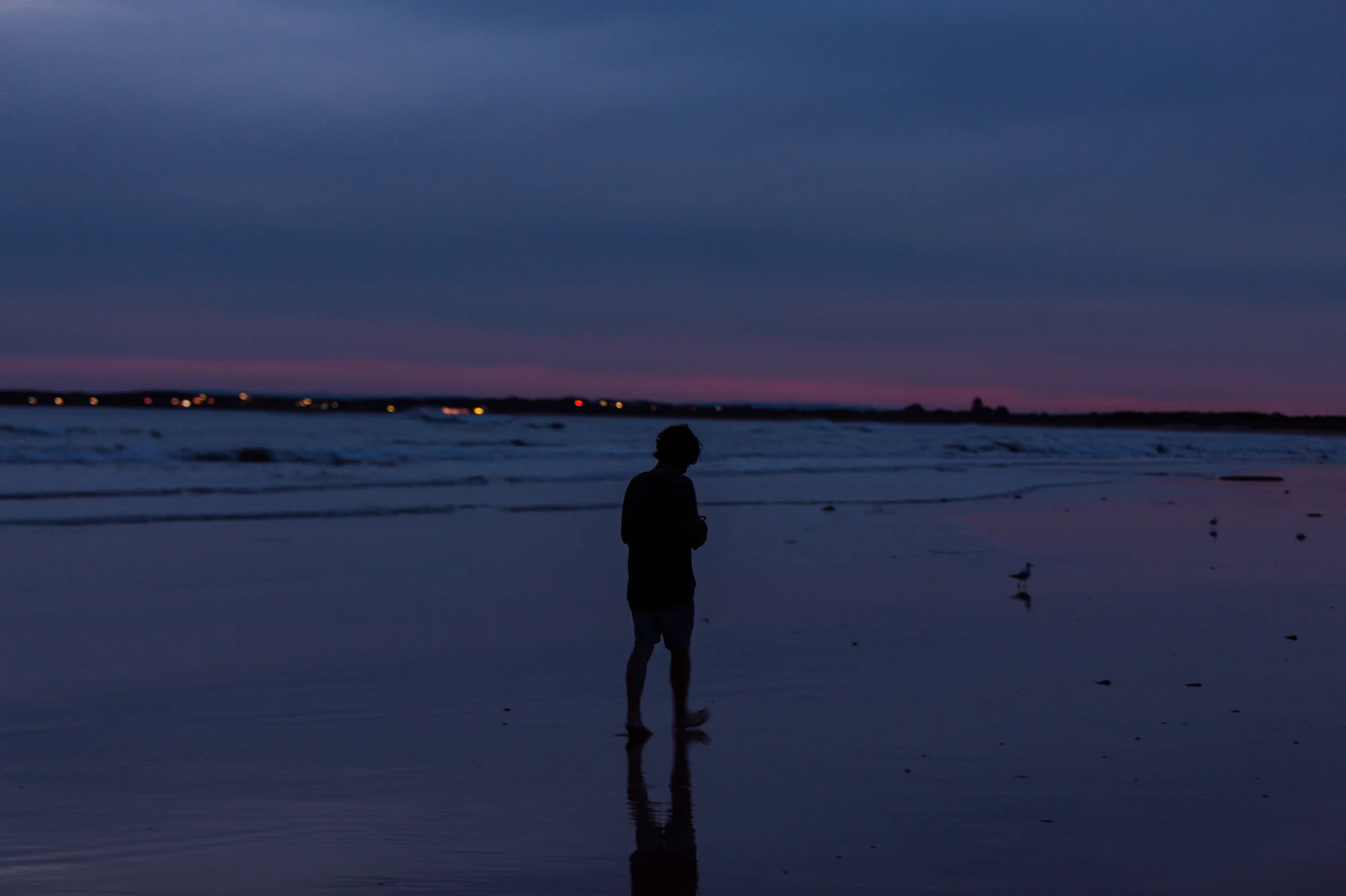 Wanderer (1 of 1).jpg