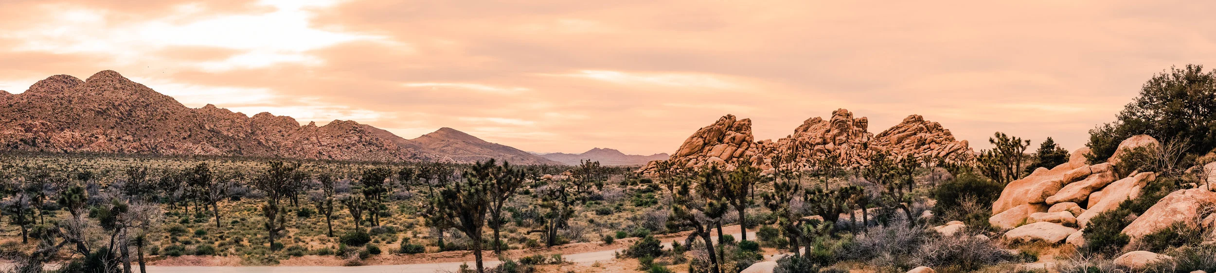 Palm Springs-.jpg
