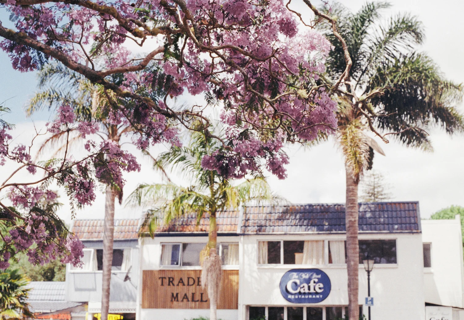 Bay of Islands (4).JPG