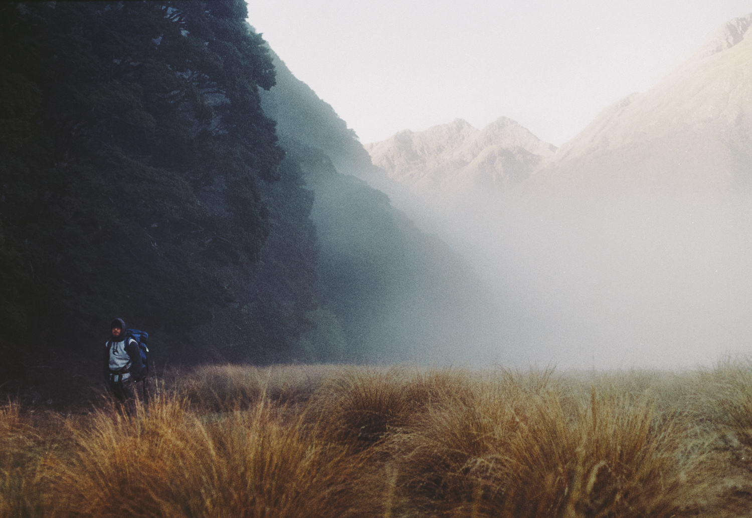 Greenstone track (9).JPG