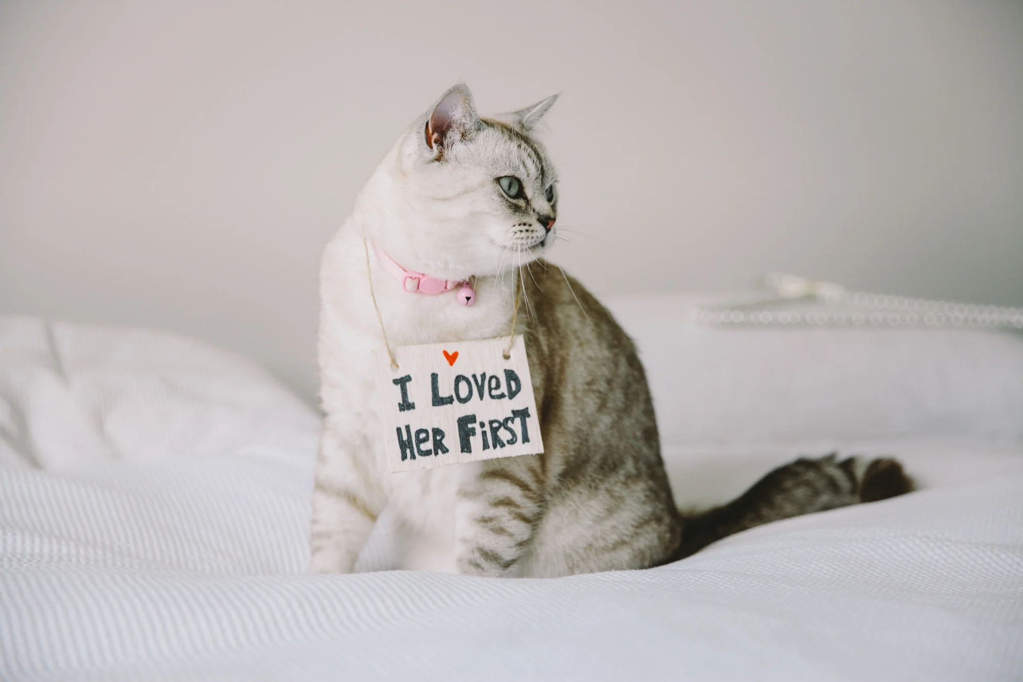 2. Bride preparation (330).JPG