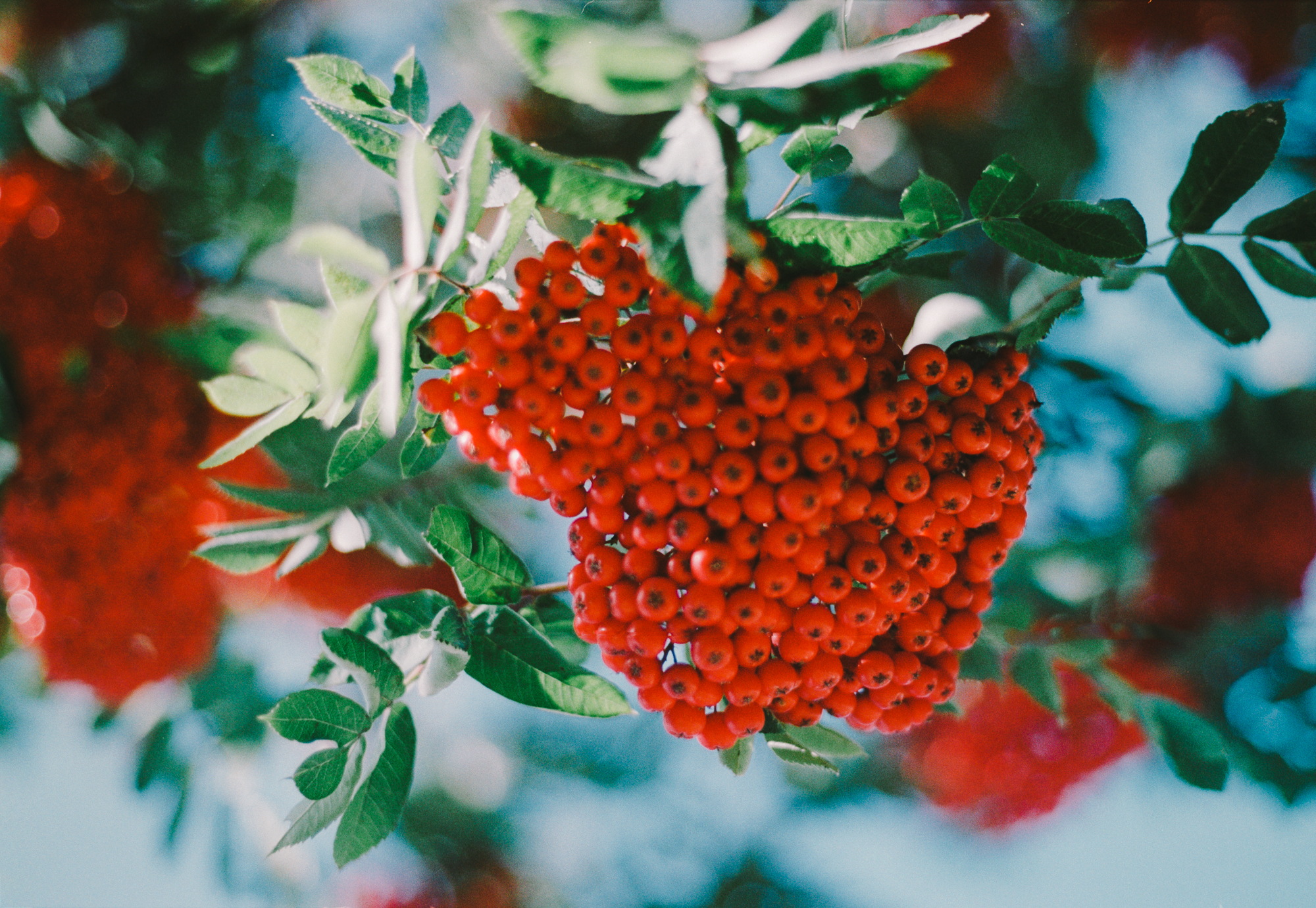 Stockholm 2017 (22).JPG