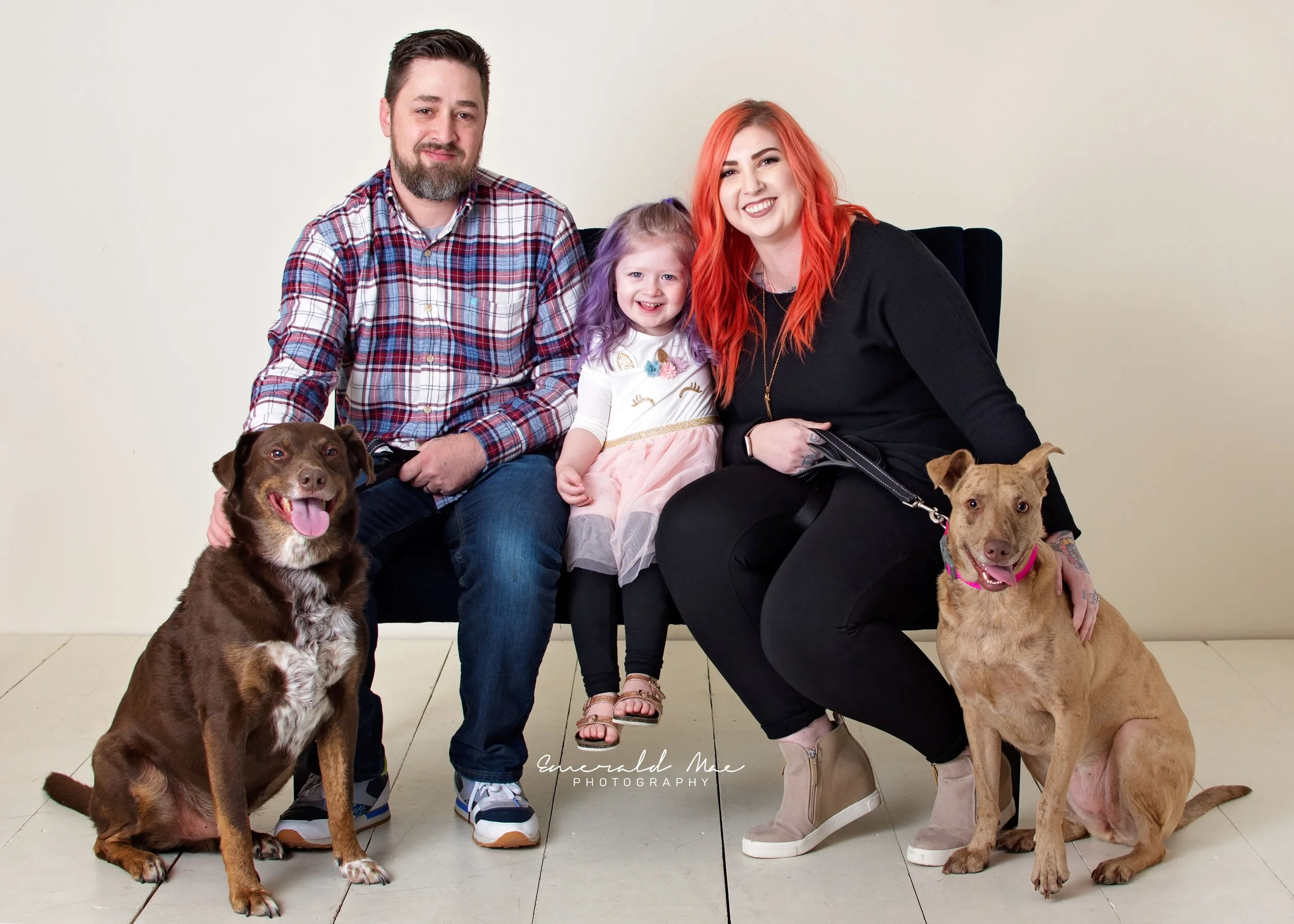  A family portrait features a smiling man and woman seated with a young girl between them. The mother and daughter share bright colored hair styles, orange and purple. Two dogs sit on each side of them, one brown and one tan, all posing against a pla