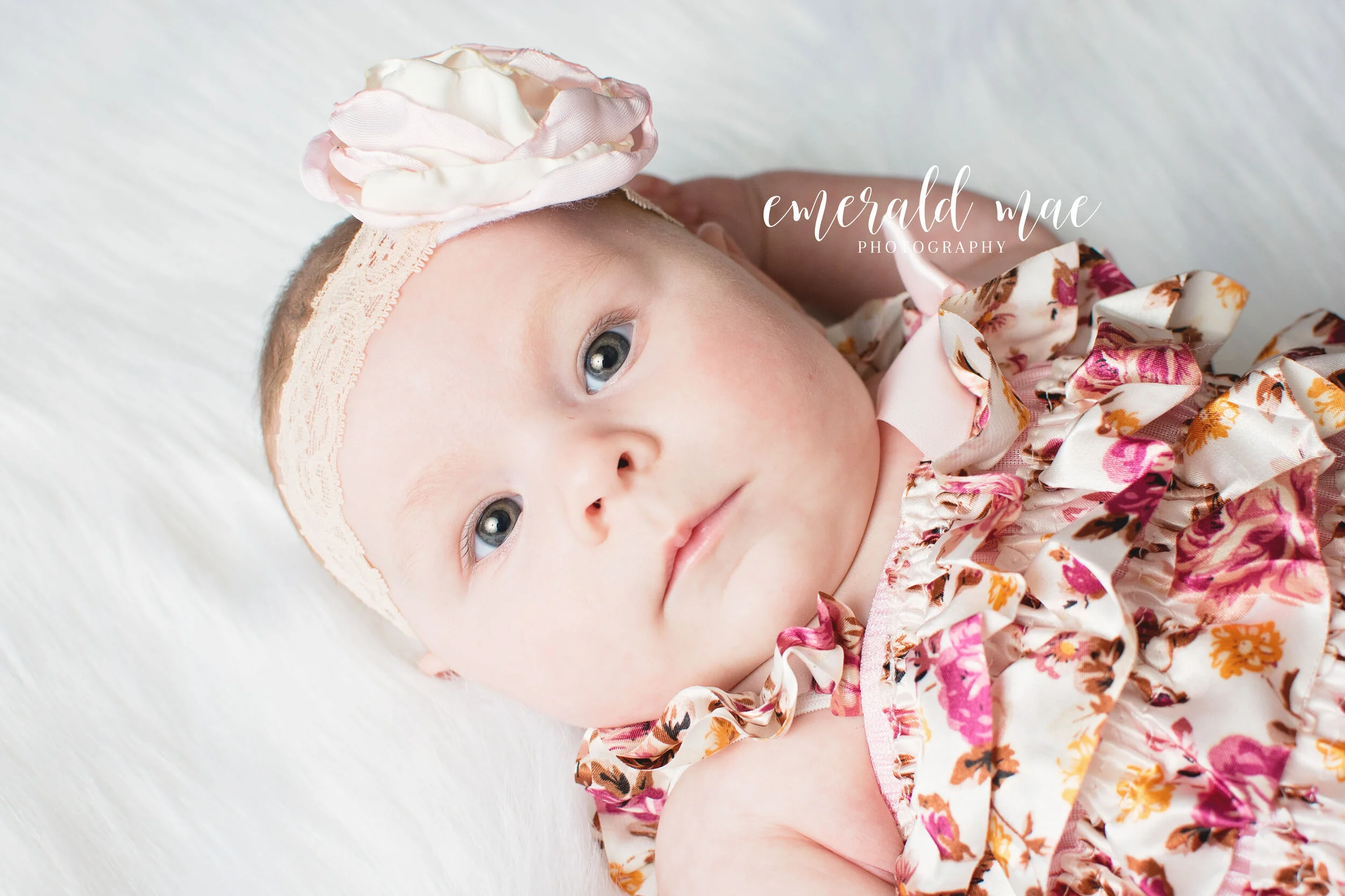 DSC_4956 color wm.jpg