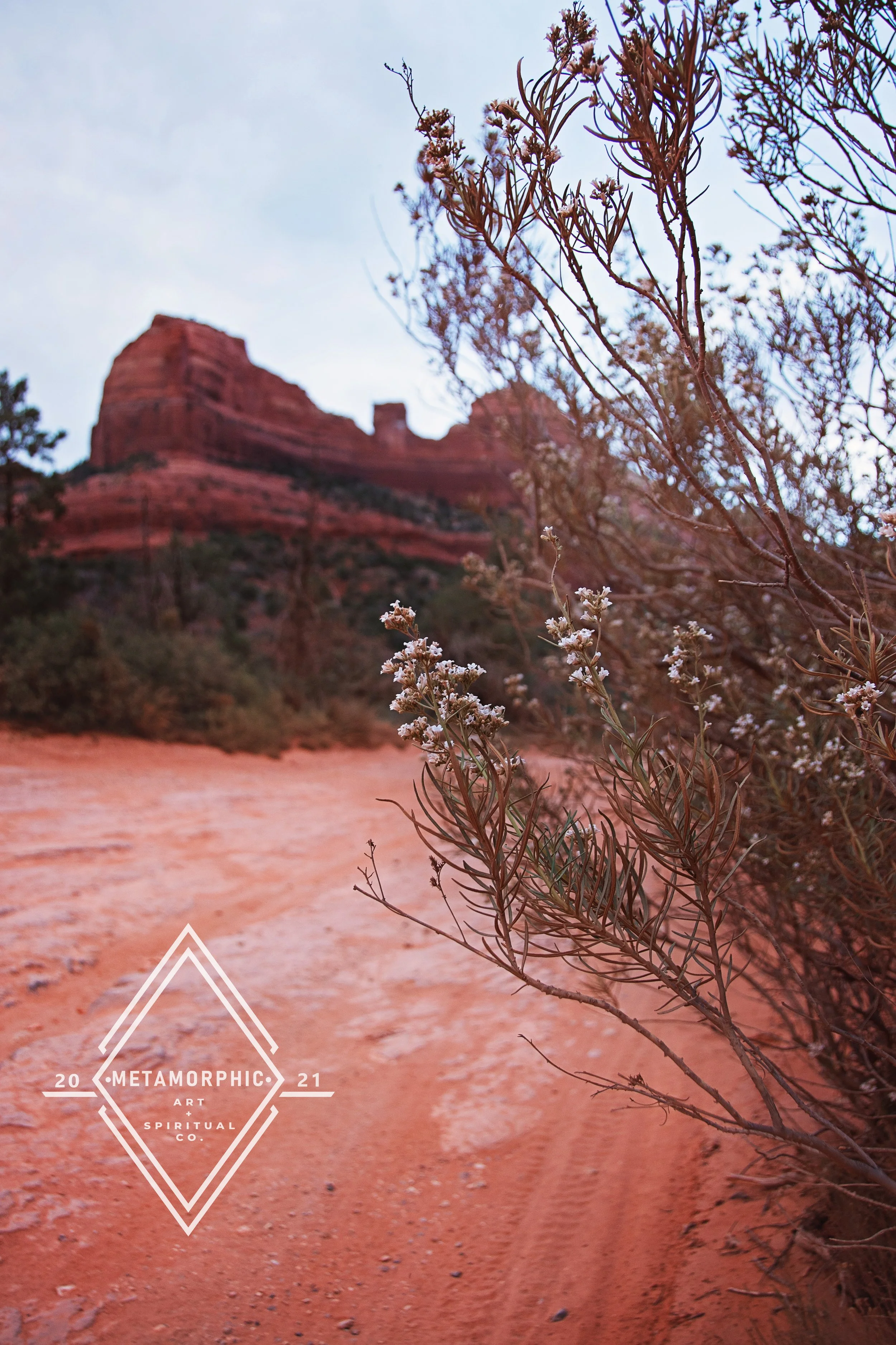 DSC_4773 edit 2021 wm.jpg