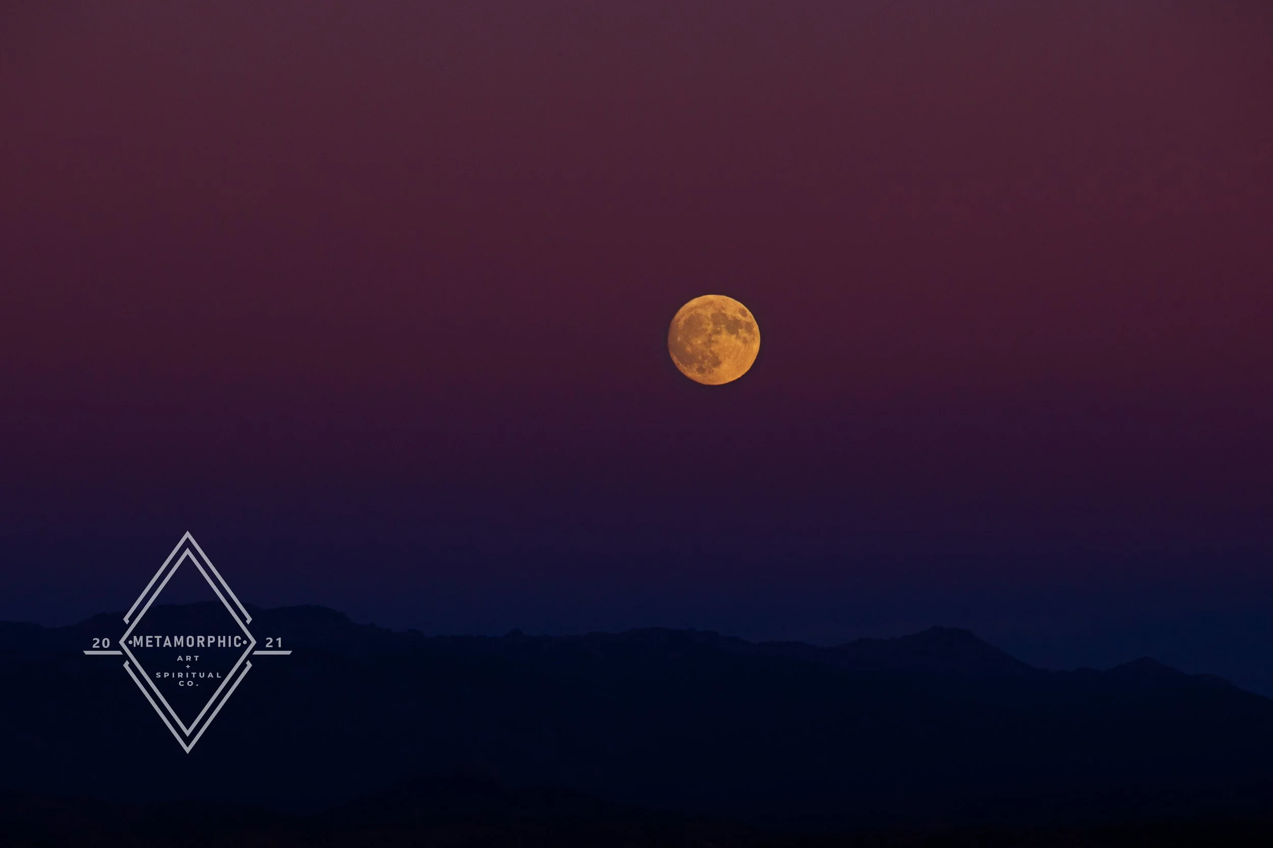 DSC_8655 2 full size 2021 wm.jpg