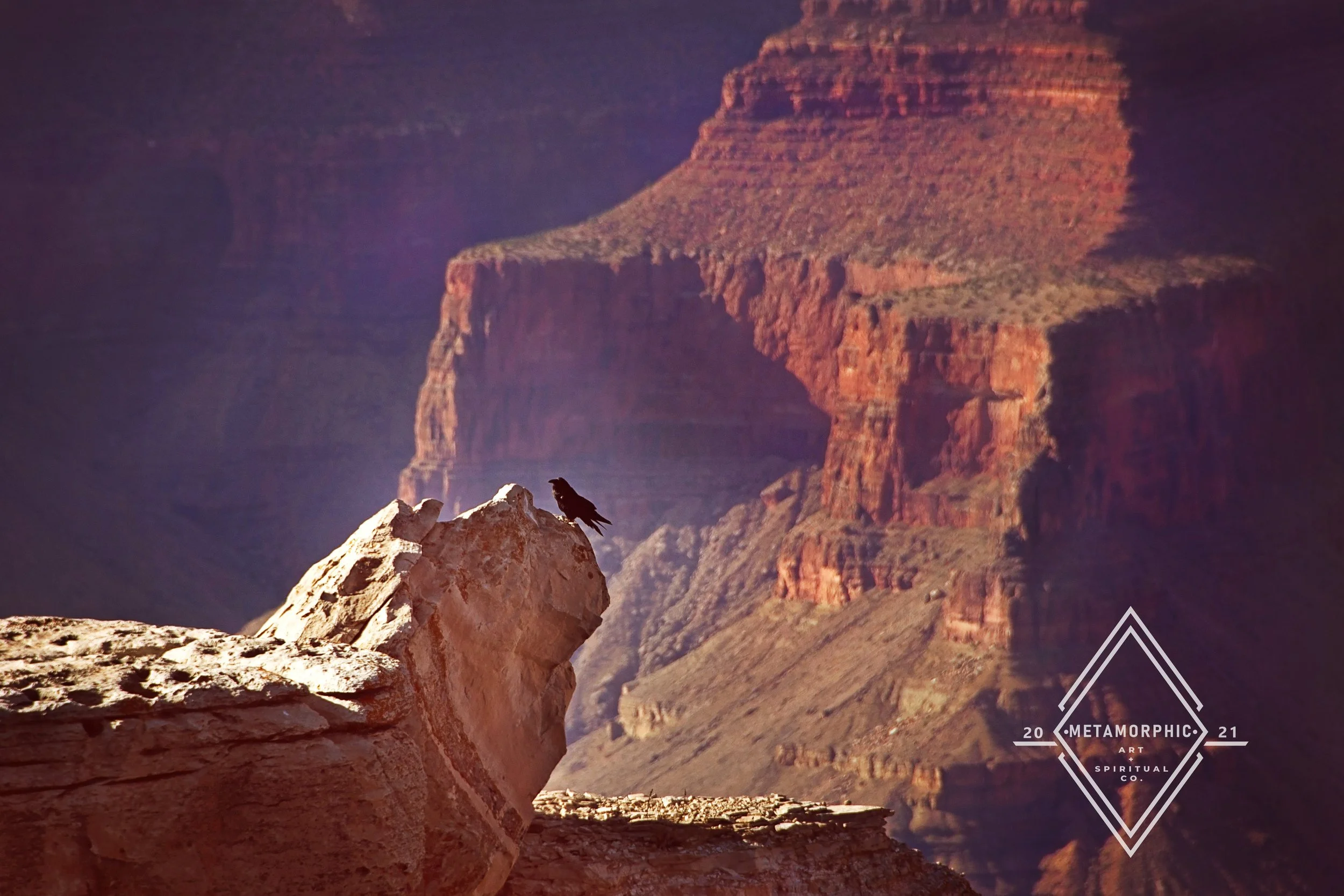 DSC_4861 edit wm.jpg