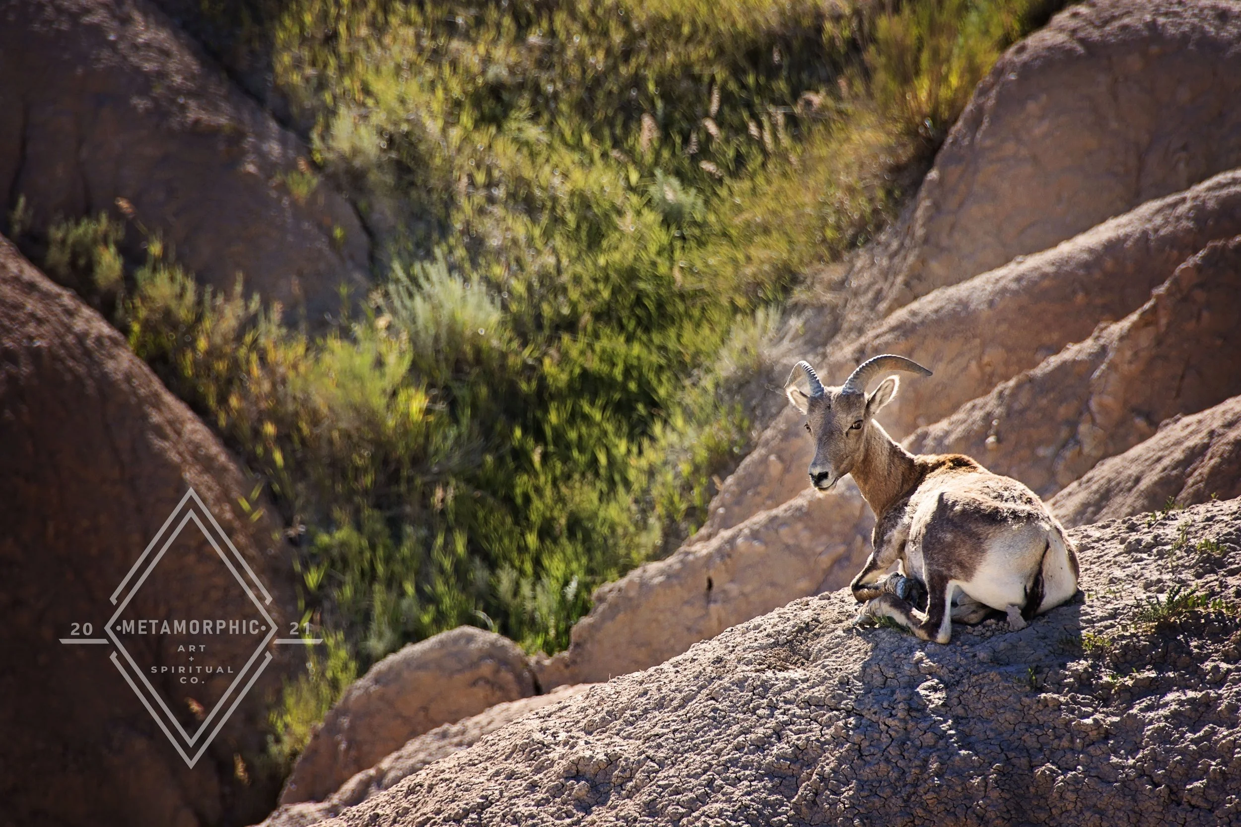 DSC_6449 edit wm.jpg