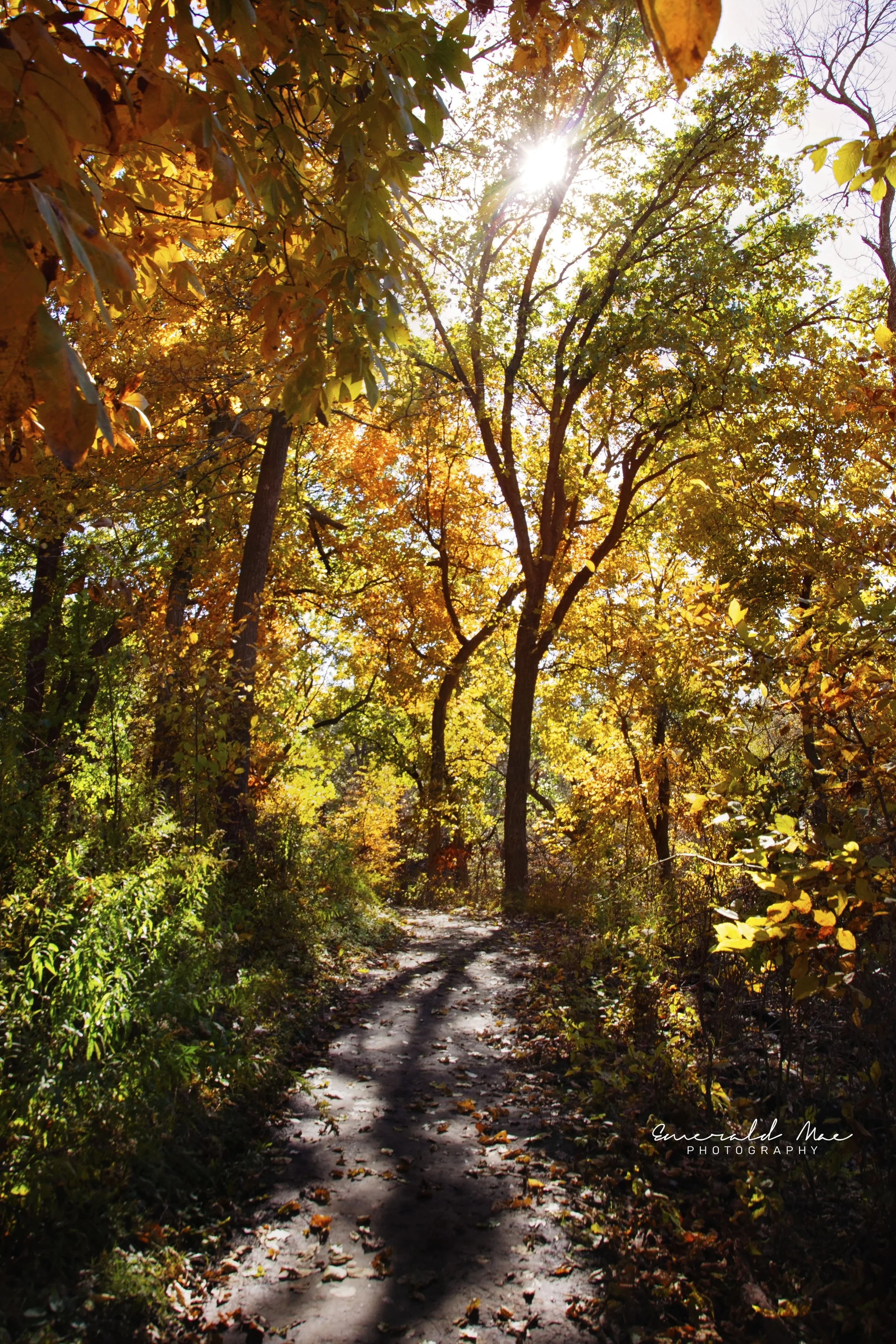 DSC_9099 edit wm.jpg