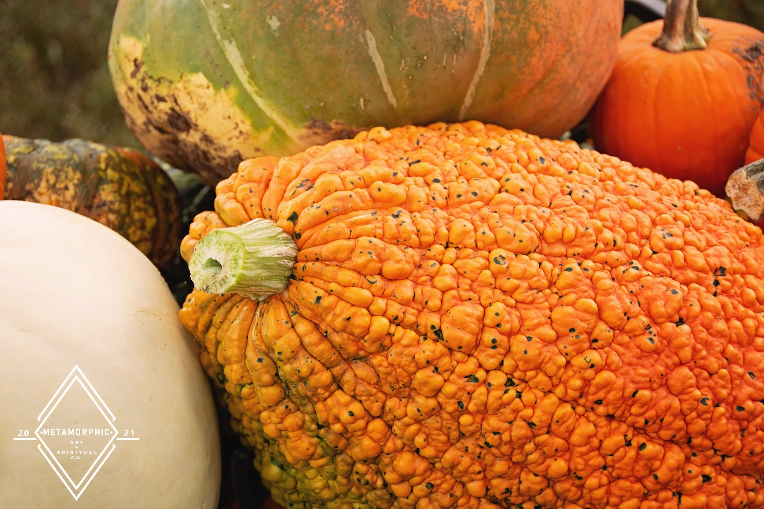 DSC_1200 edit wm2.jpg